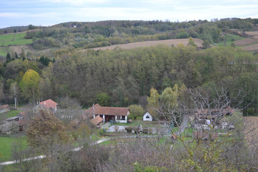 Guest House Suncano Selo Jagnjedovec 객실 사진